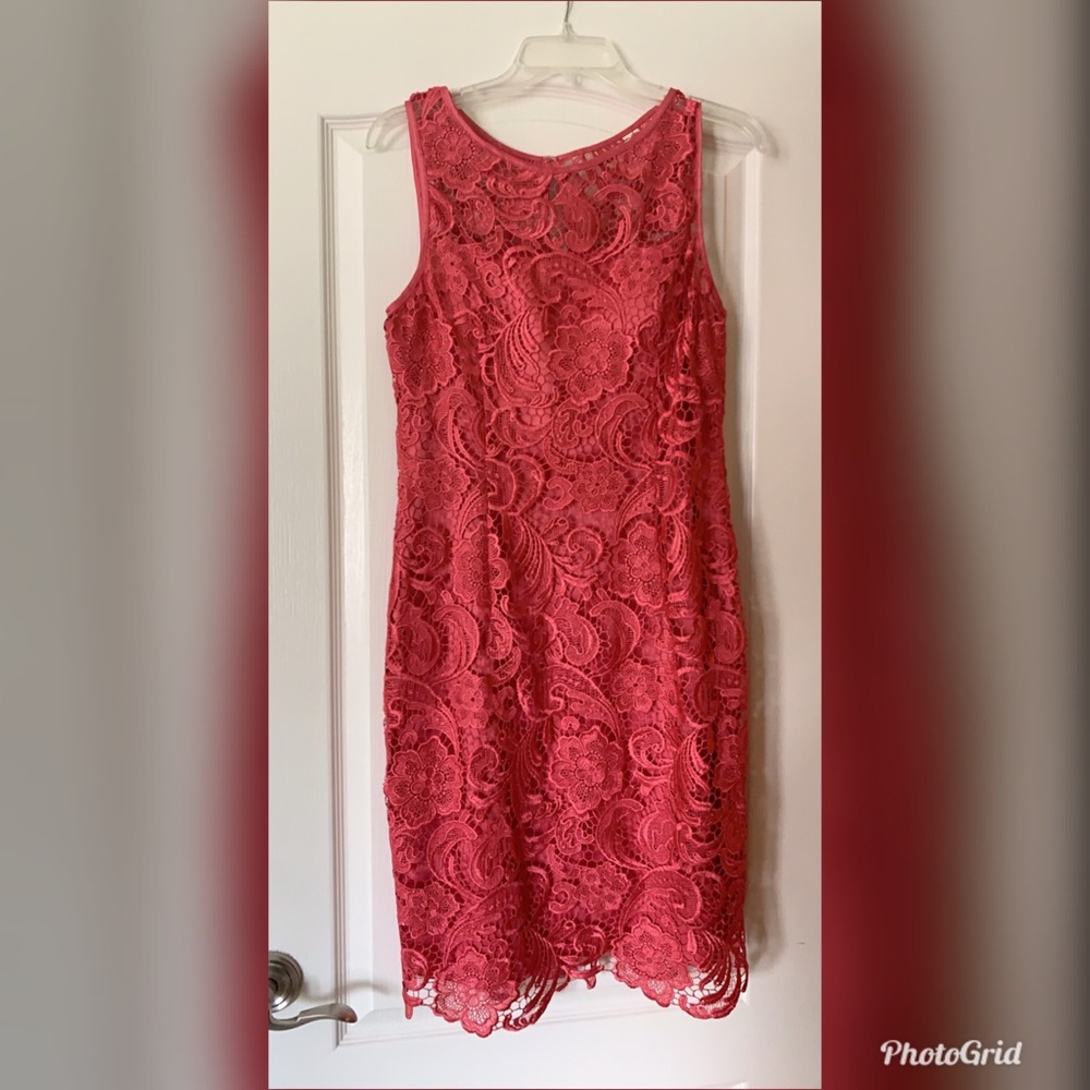 Magenta lace Adrianna Papell knee length dress